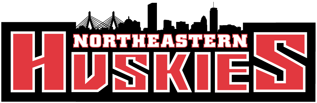 Northeastern Huskies 2001-Pres Wordmark Logo t shirts iron on transfers v2